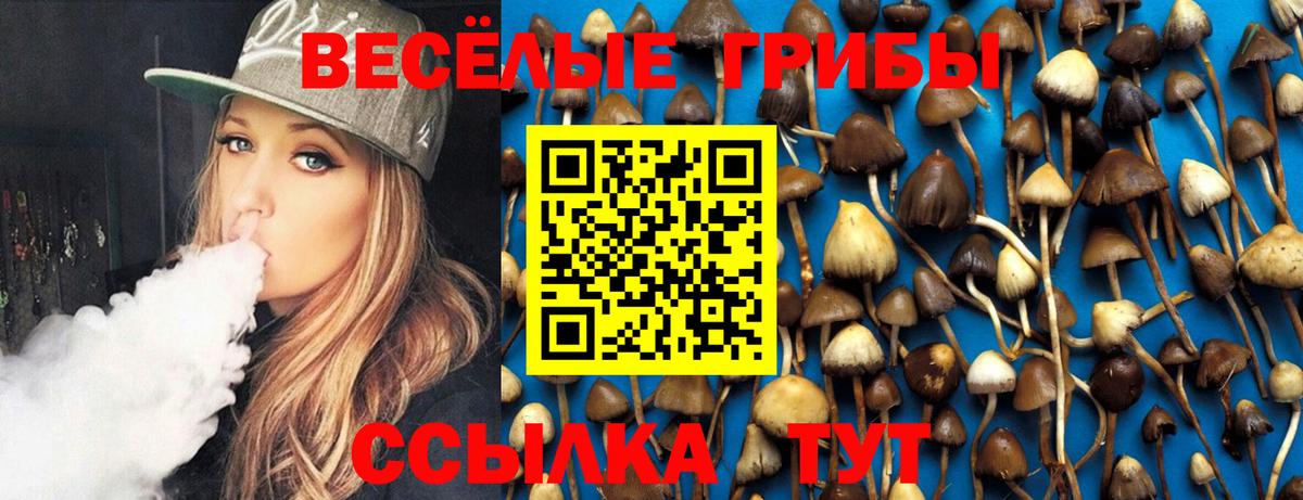 Псилоцибиновые грибы Psilocybe Щёлково