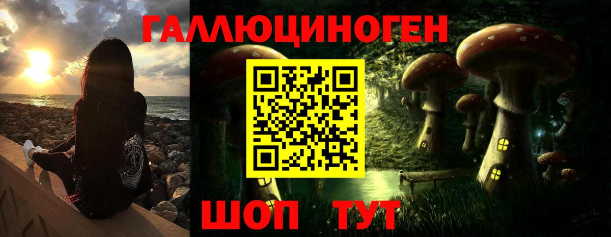 Псилоцибиновые грибы Cubensis  Вход с VPN  Щёлково 